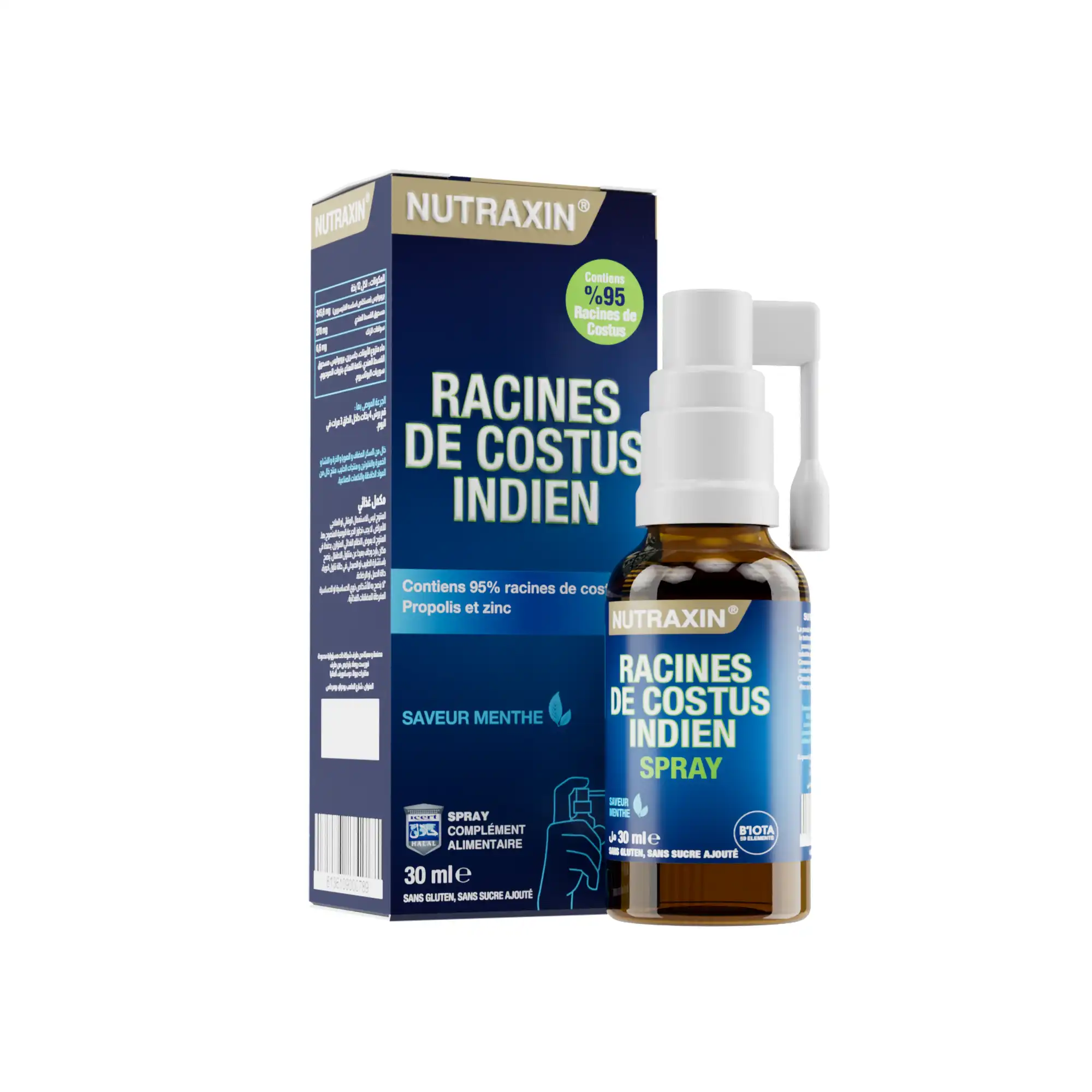 301_A Racines De Costus Indien – Image 1