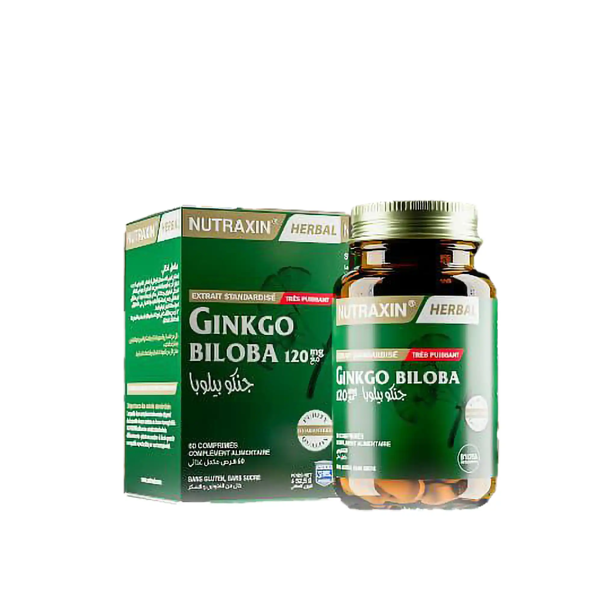 328_A Ginkgo Biloba – Image 1