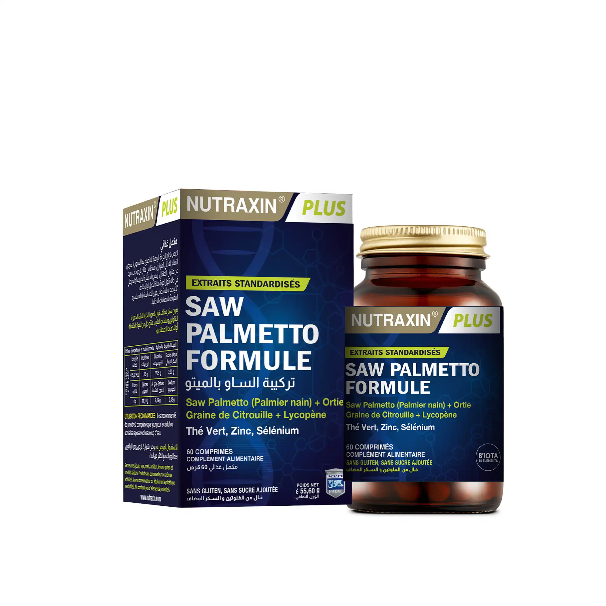 346_A Saw Palmetto – Image 1