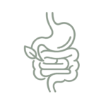 Digestion